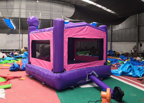 Indoor And Outdoor Adult Size Bounce House For Kids And Adults Small Size