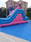 Princess Inflatable Bounce House Combo / Jumpy House With Slide OEM Service